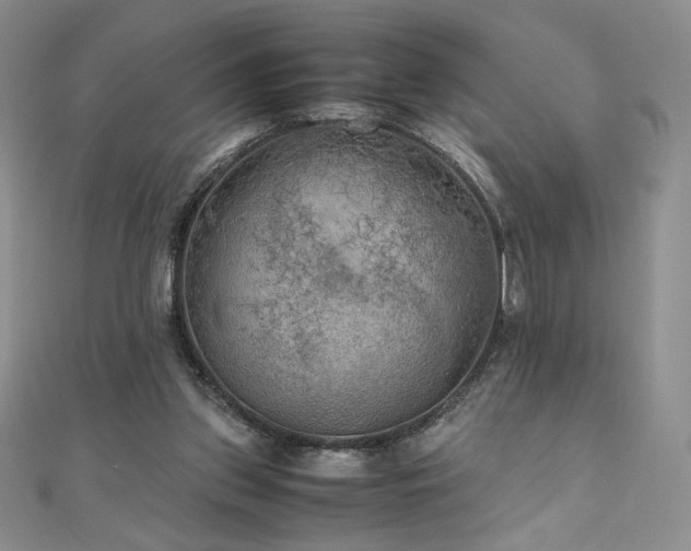 X0000111010157200906191619