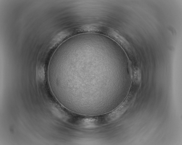 X0000111010158200906191619