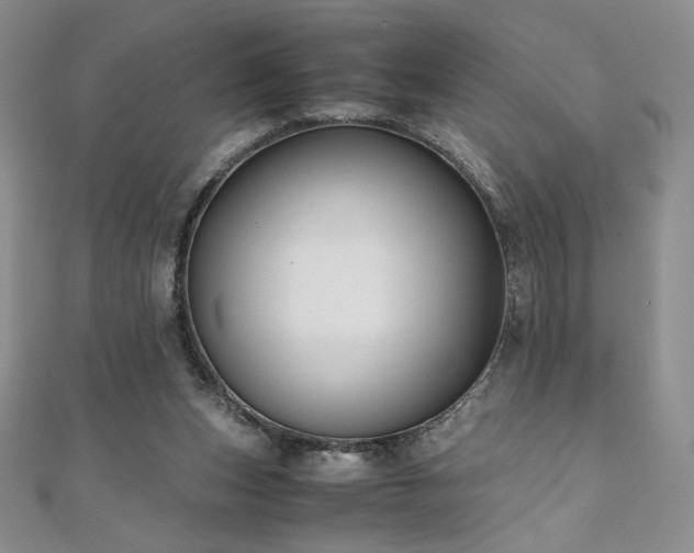 X0000111010159200906191619
