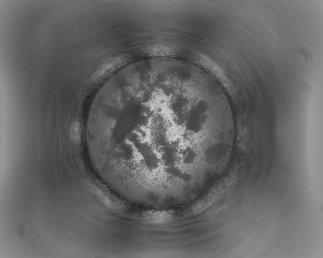 X0000111010161200906191619