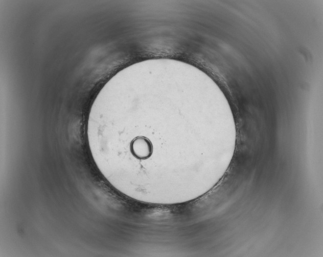 X0000111010162200906191619