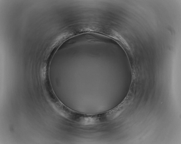X0000111010163200906191619
