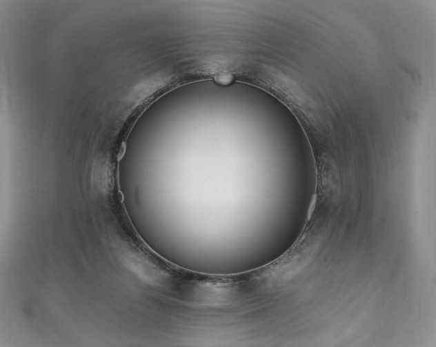 X0000111010164200906191619