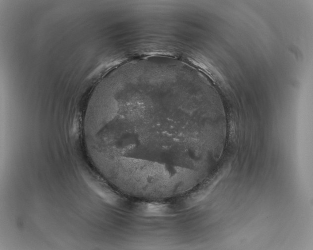 X0000111010165200906191619
