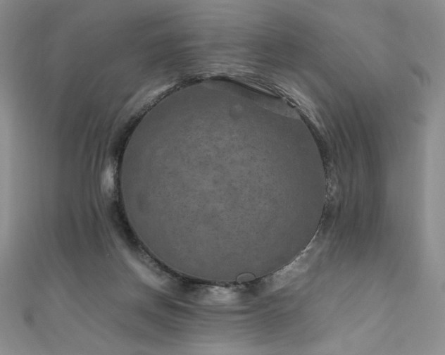 X0000111010166200906191619