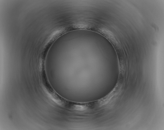 X0000111010167200906191619