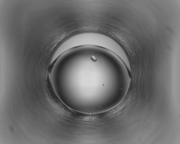 X0000111010168200906191619