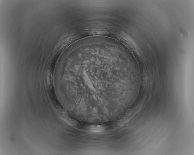 X0000111010169200906191619