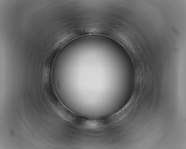 X0000111010171200906191619