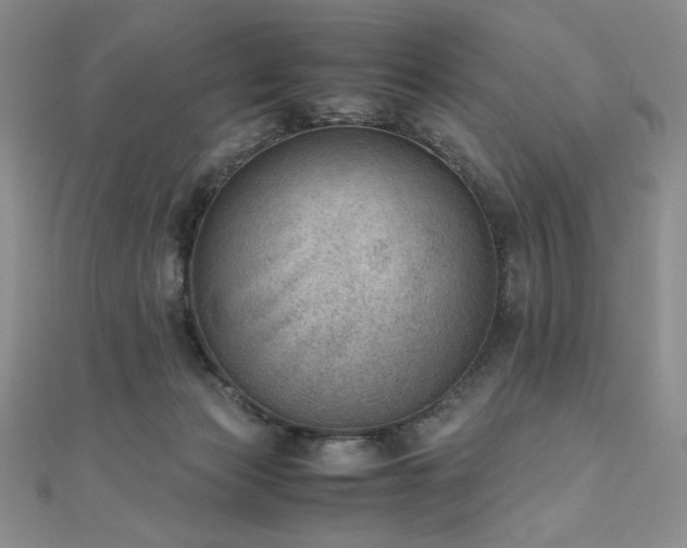 X0000111010173200906191619