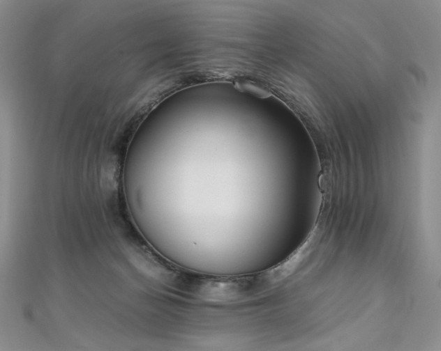 X0000111010174200906191619
