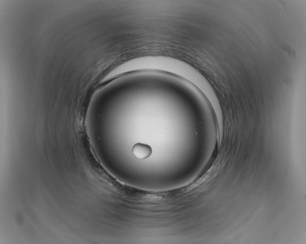 X0000111010176200906191619
