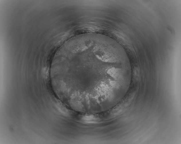 X0000111010177200906191619