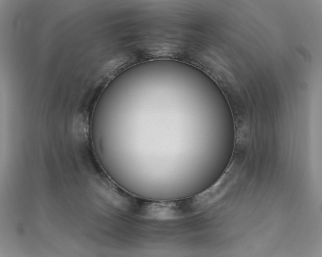 X0000111010179200906191619