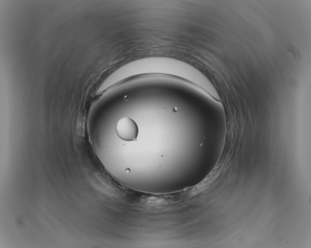 X0000111010180200906191619