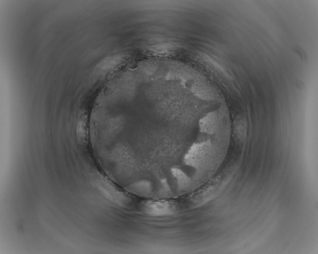 X0000111010181200906191619