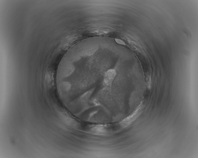 X0000111010182200906191619