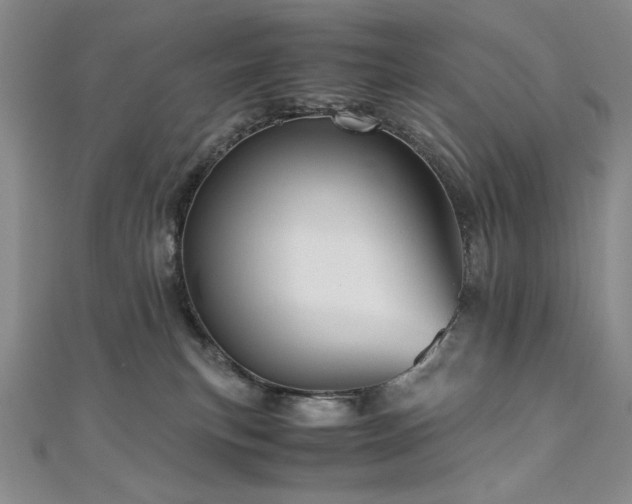 X0000111010183200906191619