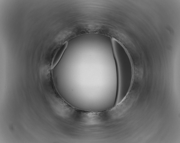 X0000111010184200906191619