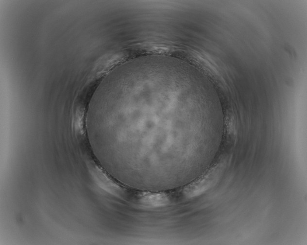 X0000111010185200906191619
