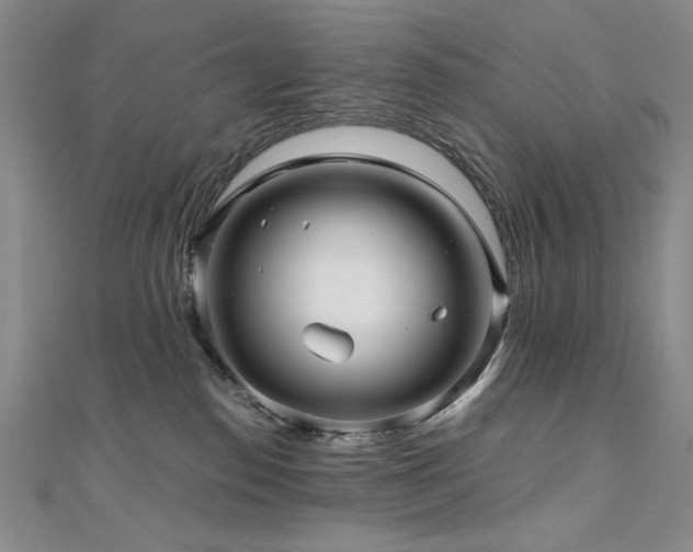 X0000111010186200906191619