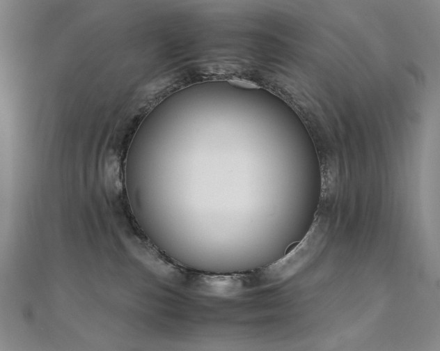 X0000111010187200906191619