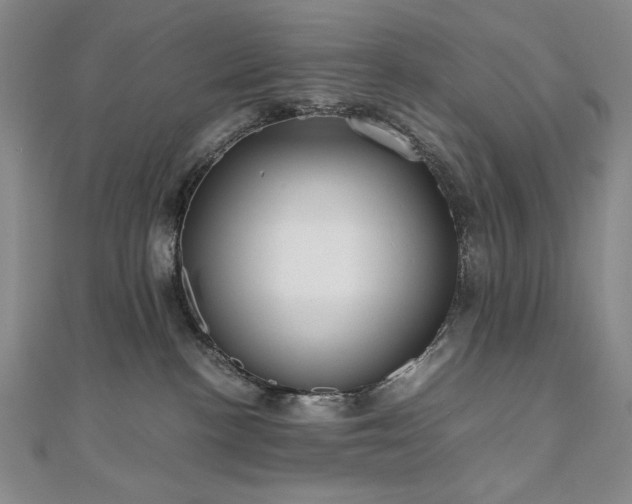 X0000111010188200906191619