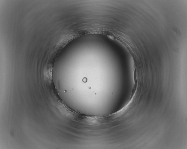 X0000111010190200906191619