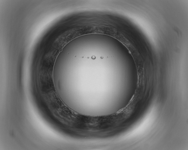 X0000111010191200906191619