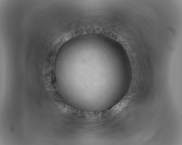 X0000111010192200906191619