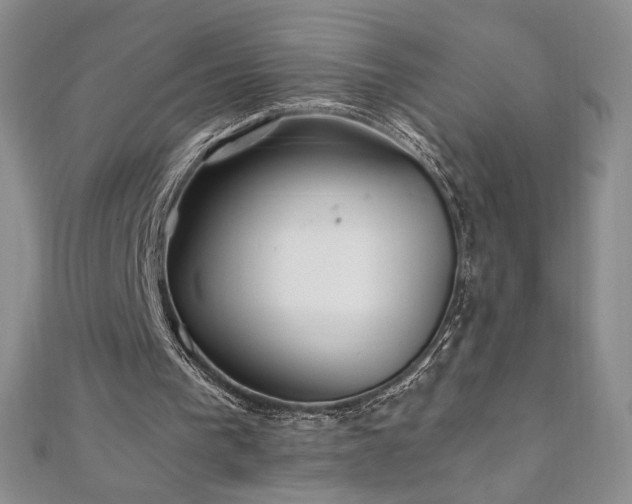 X0000111010193200906191619