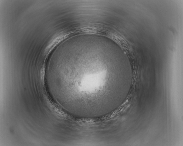 X0000111010194200906191618