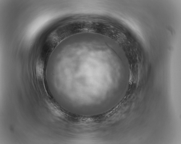 X0000111010195200906191618