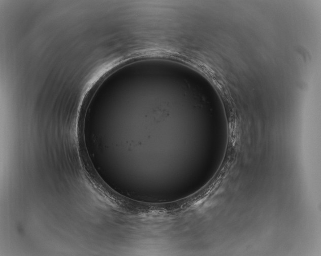 X0000111010196200906191618