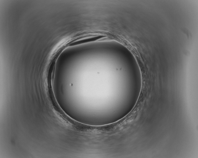 X0000111010197200906191618