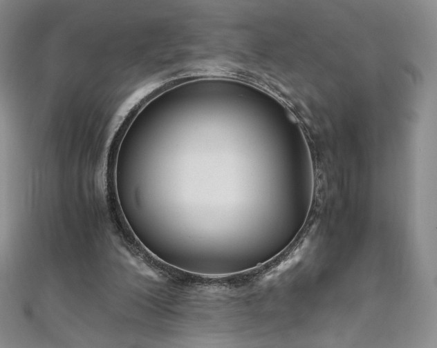X0000111010200200906191618