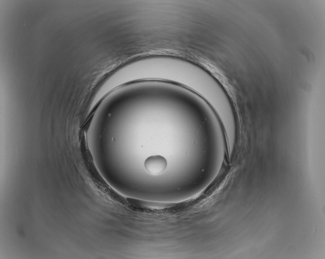 X0000111010201200906191618
