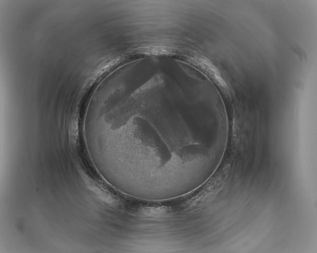 X0000111010202200906191618
