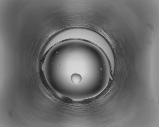 X0000111010203200906191618