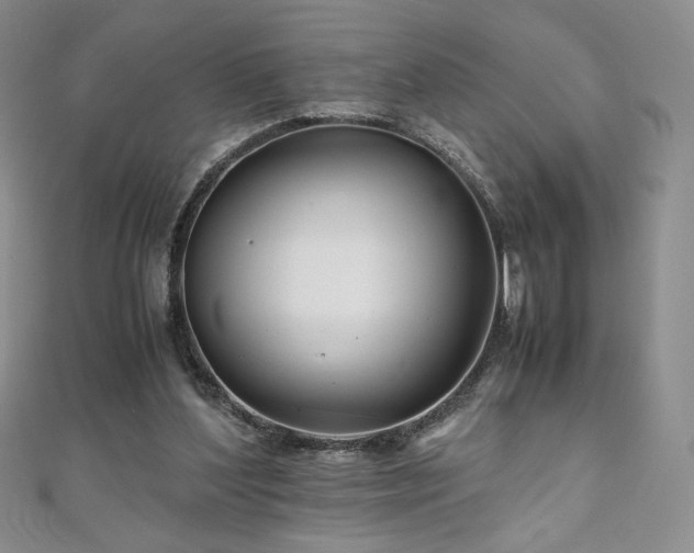 X0000111010204200906191618