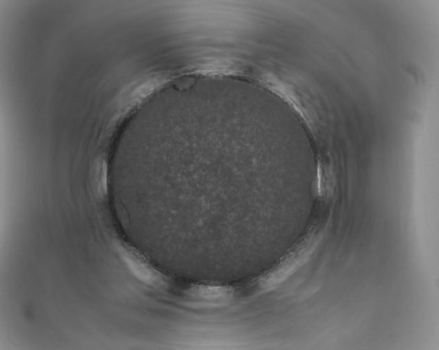 X0000111010205200906191618
