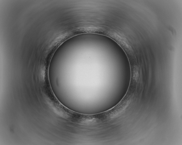 X0000111010206200906191618