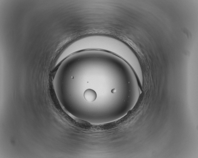 X0000111010207200906191618