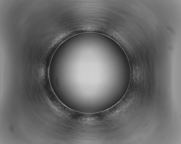 X0000111010208200906191618