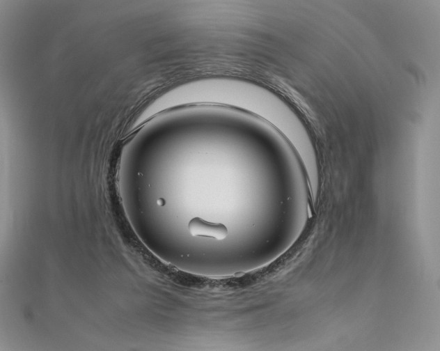 X0000111010209200906191618