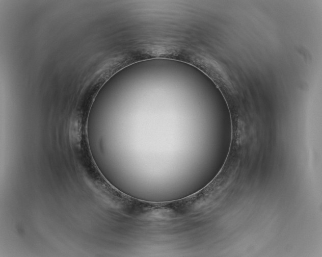 X0000111010210200906191618
