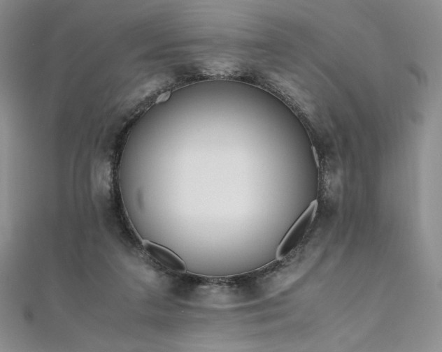 X0000111010211200906191618
