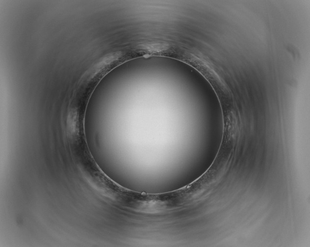 X0000111010212200906191618