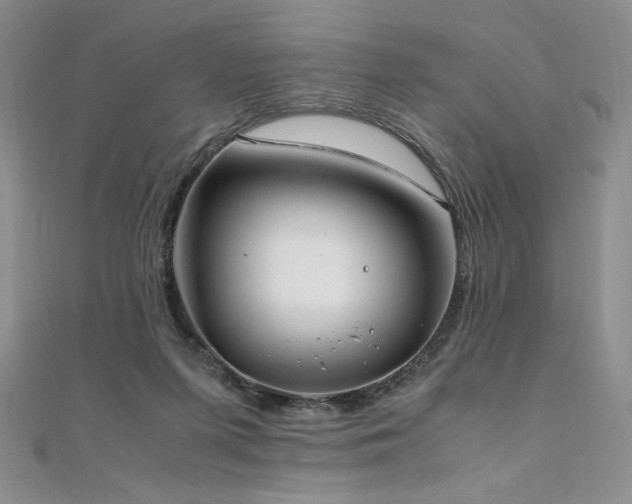 X0000111010215200906191618