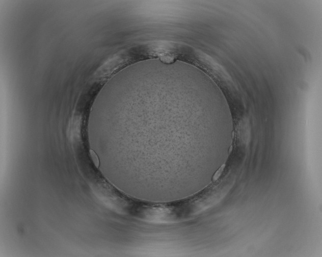 X0000111010217200906191618